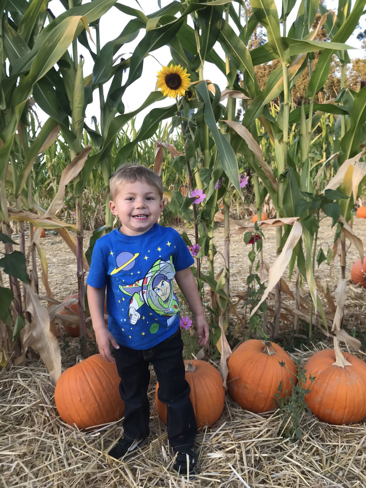 Picking Pumpkins 2019
